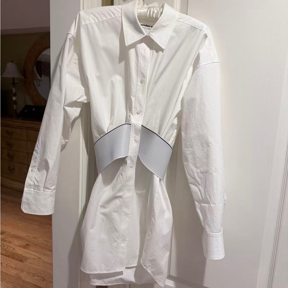 Alexander Wang dress